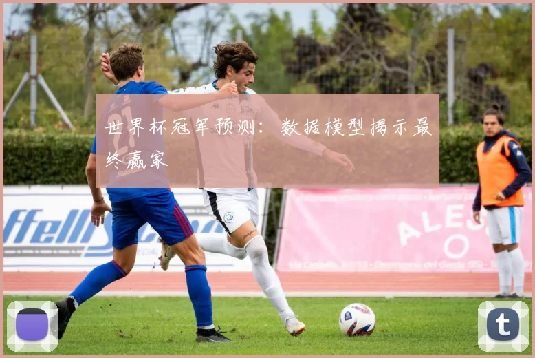 世界杯冠军预测：数据模型揭示最终赢家