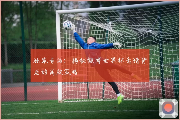 独家专访：揭秘微博世界杯竞猜背后的高效策略