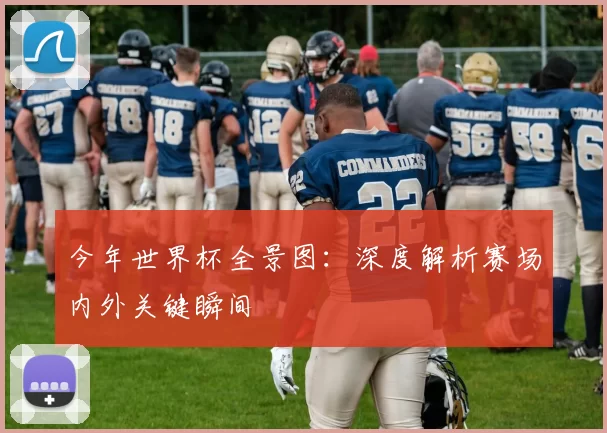 今年世界杯全景图：深度解析赛场内外关键瞬间