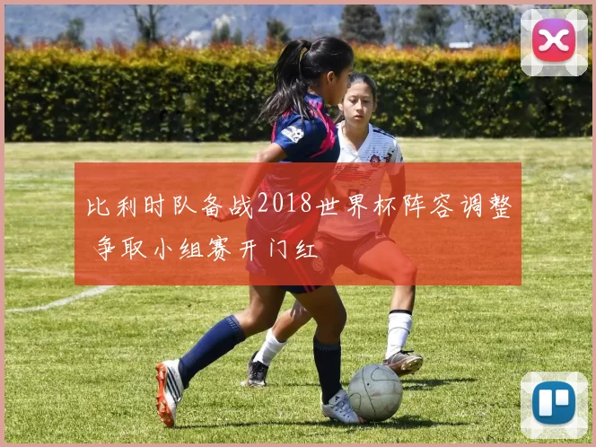 比利时队备战2018世界杯阵容调整 争取小组赛开门红