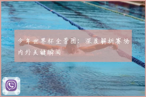 今年世界杯全景图：深度解析赛场内外关键瞬间