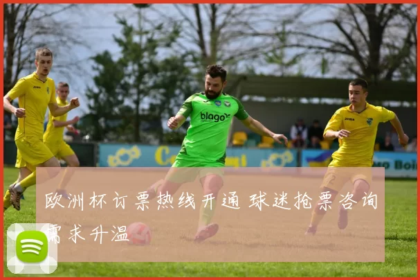 欧洲杯订票热线开通 球迷抢票咨询需求升温