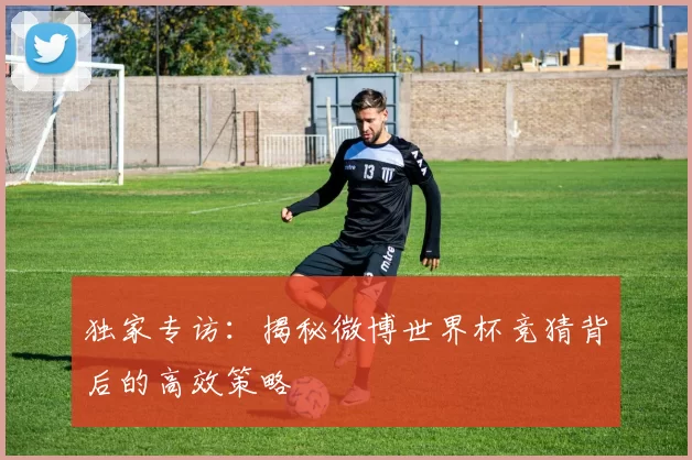 独家专访：揭秘微博世界杯竞猜背后的高效策略