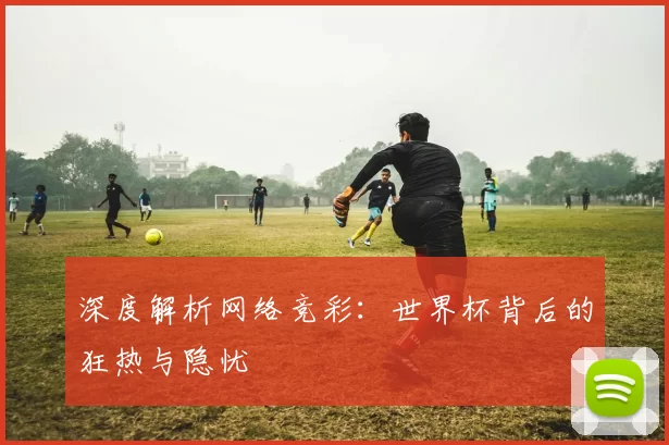 深度解析网络竞彩：世界杯背后的狂热与隐忧