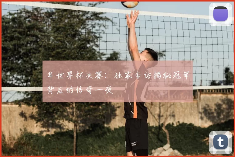 年世界杯决赛：独家专访揭秘冠军背后的传奇一夜